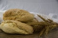 Homemade bread and ears of wheat in retro background