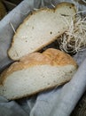Homemade bread on rustic background