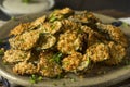 Homemade Breaded Baked Zucchini Chips Royalty Free Stock Photo