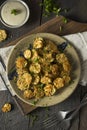 Homemade Breaded Baked Zucchini Chips Royalty Free Stock Photo