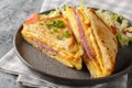 Homemade Breakfast Egg Sandwich Hack with ham and cheese closeup on the plate. Horizontal Royalty Free Stock Photo