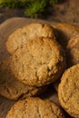 Homemade Brown Gingersnap Cookies Royalty Free Stock Photo