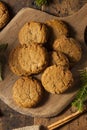 Homemade Brown Gingersnap Cookies Royalty Free Stock Photo