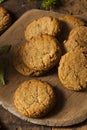 Homemade Brown Gingersnap Cookies Royalty Free Stock Photo