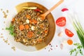 Homemade Brown Lentil stew with Carrots Royalty Free Stock Photo