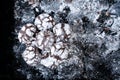 Homemade brownies with sugar icing on black slate. Chocolate brownie cookies cakes on a texture background. Cook at home. A lot of Royalty Free Stock Photo