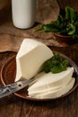 Homemade brynza cheese cut into pieces and a bottle of milk as raw material for the product