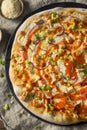 Homemade Buffalo Chicken Pizza Royalty Free Stock Photo