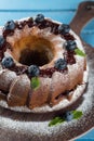 Bundt cake with icing sugar and blueberry Royalty Free Stock Photo