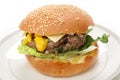 Homemade burger in bun Royalty Free Stock Photo