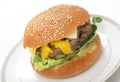 Homemade burger in bun Royalty Free Stock Photo
