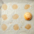 Homemade burger bun on bakery parchment . Food photography, concept of homemade fresh bakery. Rolls with sesame seeds hamburger wi