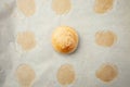 Homemade burger bun on bakery parchment . Food photography, concept of homemade fresh bakery. Rolls with sesame seeds hamburger Royalty Free Stock Photo