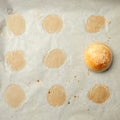 Homemade burger bun on bakery parchment . Food photography, concept of homemade fresh bakery. Rolls with sesame seeds hamburger