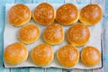 Homemade burger buns with sesame Royalty Free Stock Photo
