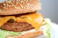 Homemade burger, close-up Royalty Free Stock Photo