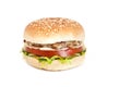 Homemade burger Royalty Free Stock Photo