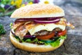 Homemade burger Royalty Free Stock Photo
