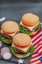 Homemade burgers. An American classic, traditional food for picnic or celebration Independence Day Royalty Free Stock Photo