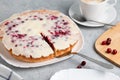 Homemade cake with cranberries and sour cream. Sweet pastries