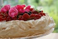 Homemade cake `Pavlova`. Beautiful and very tasty dessert