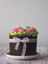 Homemade cakes Easter cake, anointed with cream and roses and decorated with a bow of lace ribbon.The confectionery treat Royalty Free Stock Photo