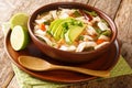 Homemade Caldo tlalpeno is a Mexican chicken soup topped with avocado and cheese close-up in a bowl. horizontal Royalty Free Stock Photo