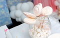 Homemade candies meringue on stick Meringue candy on wooden stick in vase on party