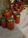 Homemade canned tomatoes salsa fresh traditional