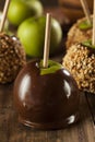 Homemade Caramel Taffy Apple with Peanuts