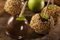 Homemade Caramel Taffy Apple with Peanuts