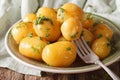 Homemade caramelized new potatoes close-up on a plate. Royalty Free Stock Photo