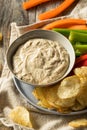 Homemade Carmelized Onion Dip