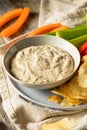 Homemade Carmelized Onion Dip