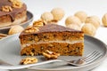 Homemade Carrot Cake with Walnuts and Chocolate Icing. Royalty Free Stock Photo