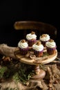 Homemade carrot or pumpkin cupcakes with white cream and walnut on top Royalty Free Stock Photo