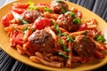 Homemade Casarecce pasta with meatballs, herbs and cheese in tomato sauce close-up on a plate. horizontal