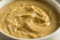 Homemade Cashew Peanut Butter Royalty Free Stock Photo