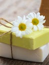 Soap bars chamomile, closeup view. Natural herbal beauty products Royalty Free Stock Photo