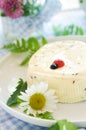Homemade cheese Royalty Free Stock Photo
