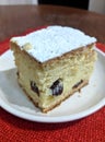 Cheese and raisins pie - homemade on a white plate Royalty Free Stock Photo