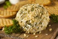 Homemade Cheeseball with Nuts Royalty Free Stock Photo