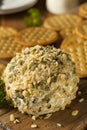 Homemade Cheeseball with Nuts Royalty Free Stock Photo