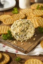 Homemade Cheeseball with Nuts Royalty Free Stock Photo