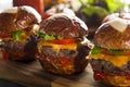 Homemade Cheeseburger Sliders with Lettuce Royalty Free Stock Photo