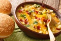 Homemade cheeseburger soup close-up in a bowl with buns. horizontal