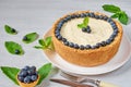 Homemade cheesecake with fresh berries on the white plate decorated with blueberries, mint, knife and fork on the gray table Royalty Free Stock Photo