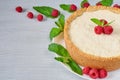 Homemade cheesecake with fresh berries on the white plate decorated with raspberries, mint leaves on the gray background Royalty Free Stock Photo
