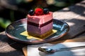 Homemade cheesecake with fresh blueberries and raspberry for dessert Royalty Free Stock Photo