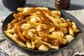 Homemade Cheesey Poutine French Fries
